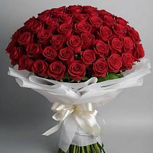 Букет 101 Красная роза Блэк Мэджик #REPLACE_PRED# Саввино