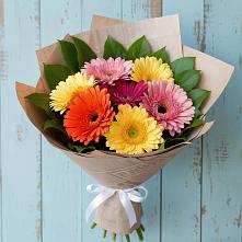 Букет цветов из:  Герберы в Саввино