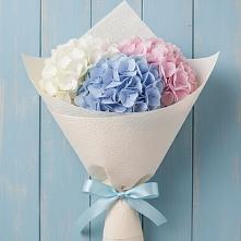 Букет цветов из:  Гортензия в Саввино