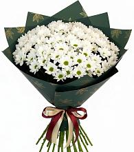 Букет цветов из:  Хризантемы в Саввино