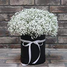 Цветочная композиция из Гипсофила в шляпной коробке в Саввино