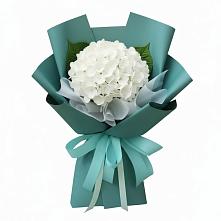 Букет цветов из:  Гортензия в Саввино